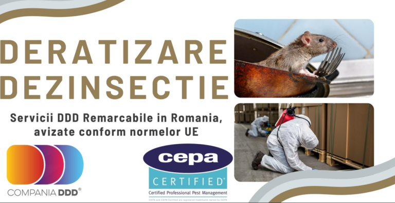 Combaterea soarecilor: Solutii eficiente si sigure pentru a scapa de invazia rozatoarelor