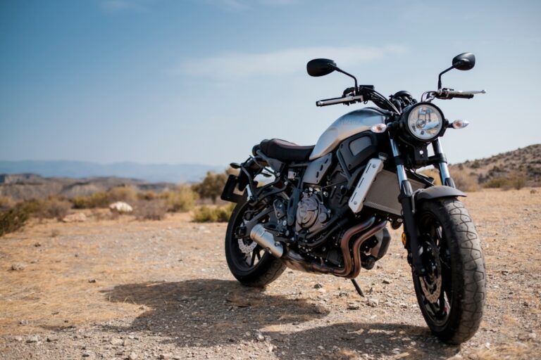 Cum să alegi anvelopele potrivite pentru motocicletă