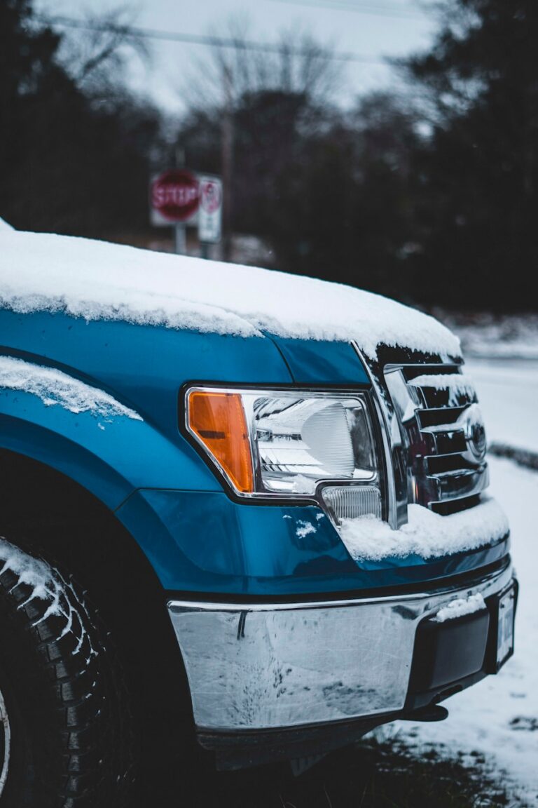 Arta protejării vehiculului de temperaturi extreme