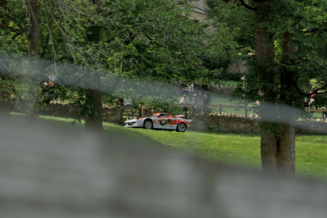 Photo electric cars hill climb